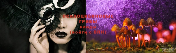 твердый Киренск