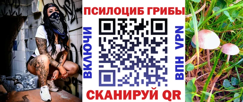 Псилоцибиновые грибы Psilocybe  Новошахтинск 